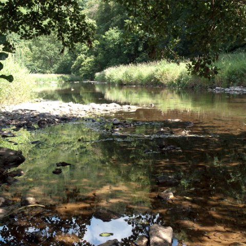 Die Prüm bei Waxweiler, © V. Teuschler Die Prüm bei Waxweiler, © V. Teuschler