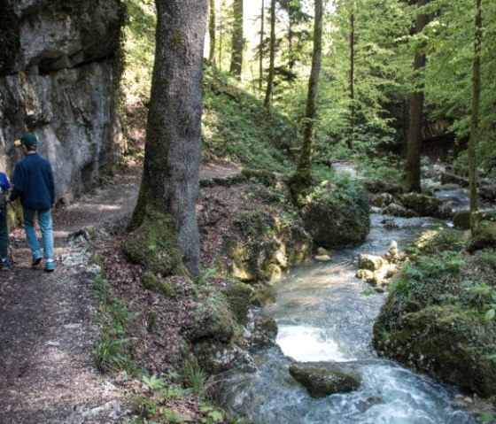 Familienwanderung an romantischeBachläufen entlang Familienwanderung an romantischeBachläufen entlang
