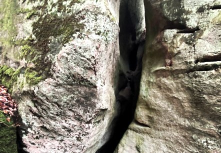 Muhmenlay Nahaufnahme, © Felsenland Südeifel Tourismus GmbH, AC Krebs Muhmenlay Nahaufnahme, © Felsenland Südeifel Tourismus GmbH, AC Krebs