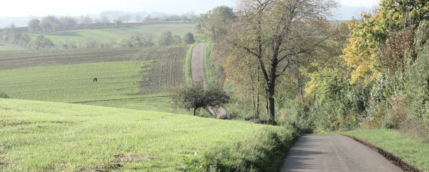 img_8409, © N. Mainz img_8409, © N. Mainz