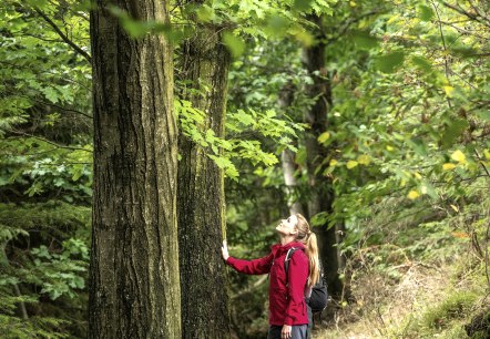 Stressbewältigung, © Eifel Tourismus GmbH, Dominik Ketz Stressbewältigung, © Eifel Tourismus GmbH, Dominik Ketz