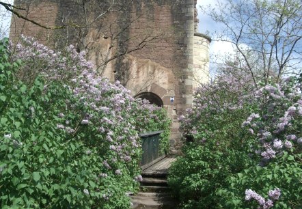 Willkommen Willkommen