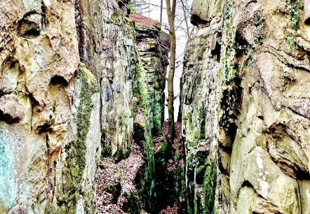 Der Streckenverlauf gleicht einer Acht und ihre Namengeberin, die Teufelsschlucht, ist auch gleich das erste Highlight., © Naturpark Südeifel/Ansgar Dondelinger Der Streckenverlauf gleicht einer Acht und ihre Namengeberin, die Teufelsschlucht, ist auch gleich das erste Highlight., © Naturpark Südeifel/Ansgar Dondelinger