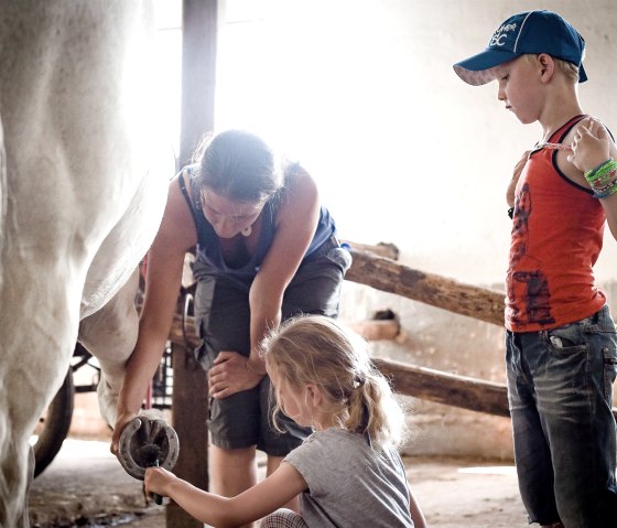 Nengshof-7142 Nengshof-7142