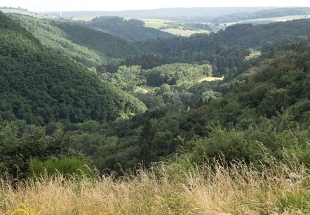 Blick übers Alsbachtal, © V. Teuschler Blick übers Alsbachtal, © V. Teuschler