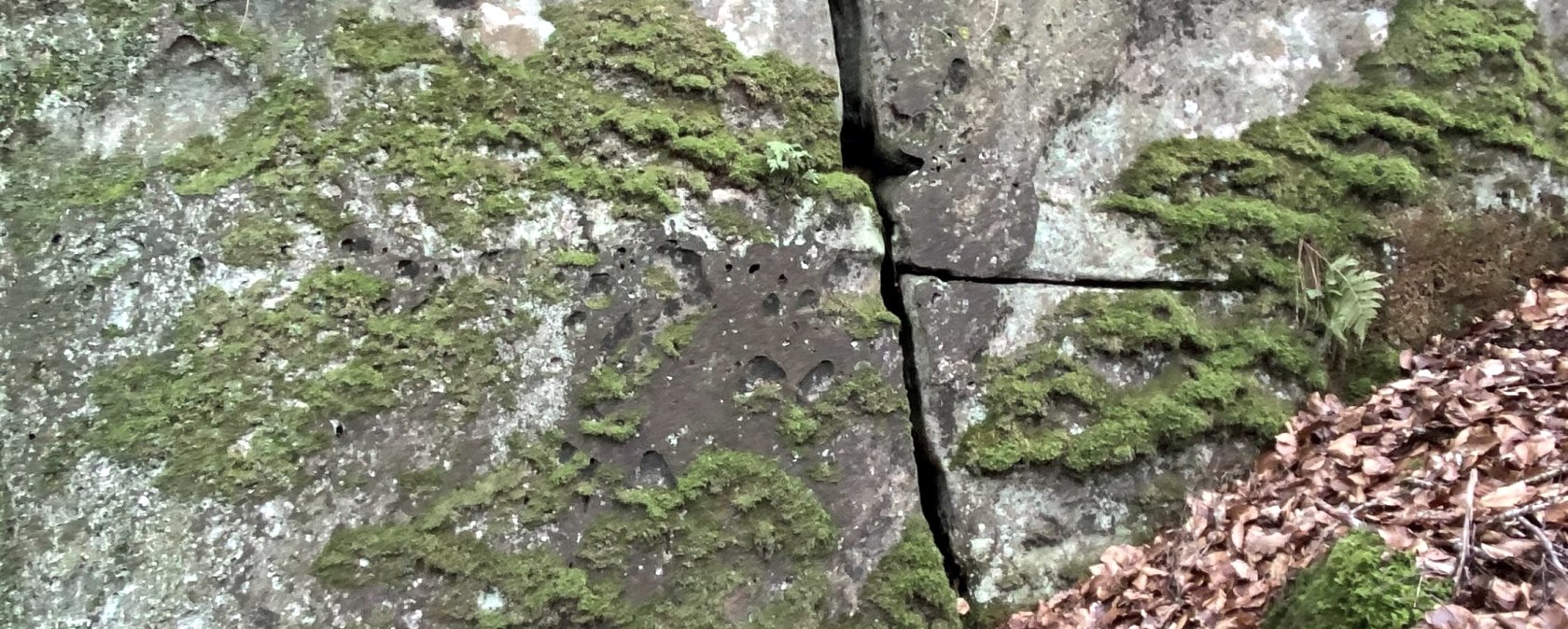 Muhmenlay, © Felsenland Südeifel Tourismus GmbH, AC Krebs Muhmenlay, © Felsenland Südeifel Tourismus GmbH, AC Krebs