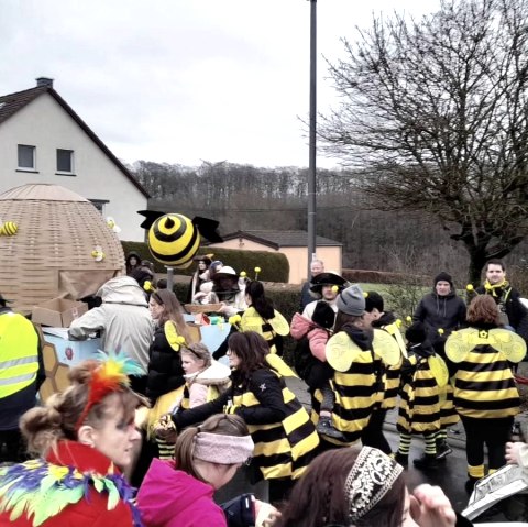 Karnevalsumzug, © Marco Kockelmann Karnevalsumzug, © Marco Kockelmann