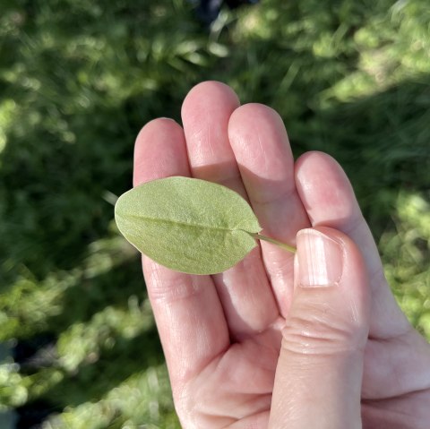 Fit in den Frühling, © TI Bitburger Land Fit in den Frühling, © TI Bitburger Land