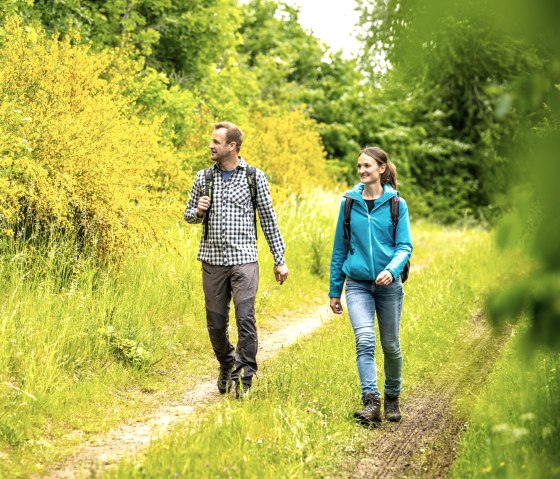 Wandern durch blühenden Ginster, © Eifel Tourismus GmbH, Dominik Ketz Wandern durch blühenden Ginster, © Eifel Tourismus GmbH, Dominik Ketz