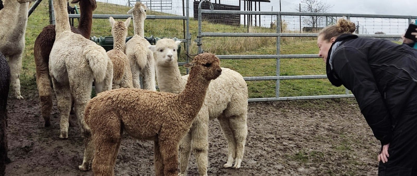 Weidezeit, © Jeanette Lux Weidezeit, © Jeanette Lux