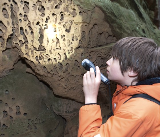 A young man in an orange jacket uses a flashlight to examine the honeycomb-like weathering of a rock in the forest., © Felsenland Südeifel Tourismus GmbH A young man in an orange jacket uses a flashlight to examine the honeycomb-like weathering of a rock in the forest., © Felsenland Südeifel Tourismus GmbH