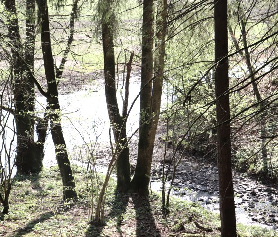 Mühlbach estuary, © Tourist-Info Islek Mühlbach estuary, © Tourist-Info Islek