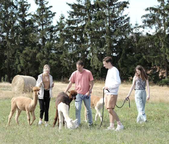 Hocheifel Alpakas Wanderung, © Hocheifel Alpakas Balter Hocheifel Alpakas Wanderung, © Hocheifel Alpakas Balter