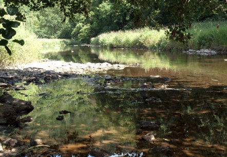 Die Prüm bei Waxweiler, © V. Teuschler Die Prüm bei Waxweiler, © V. Teuschler
