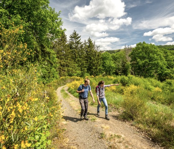 Zwei Wanderer auf einem Pfad in einer grünen Landschaft mit gelben Blumen und Bäumen unter blauem Himmel., © Eifel Tourismus GmbH, Dominik Ketz Zwei Wanderer auf einem Pfad in einer grünen Landschaft mit gelben Blumen und Bäumen unter blauem Himmel., © Eifel Tourismus GmbH, Dominik Ketz