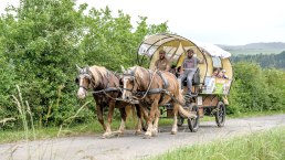 Planwagenfahrt Nengshof, © Carsten Lenz, Nengshof Planwagenfahrt Nengshof, © Carsten Lenz, Nengshof