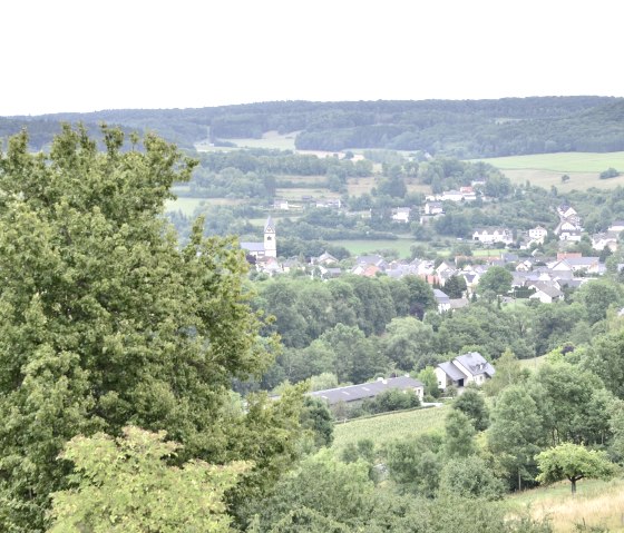Panoramablick auf das Dorf Oberweis mit einer Kirche im Zentrum, umgeben von grünen Feldern und Wäldern. Im Vordergrund ein großer Baum., © TI Bitburger Land Panoramablick auf das Dorf Oberweis mit einer Kirche im Zentrum, umgeben von grünen Feldern und Wäldern. Im Vordergrund ein großer Baum., © TI Bitburger Land
