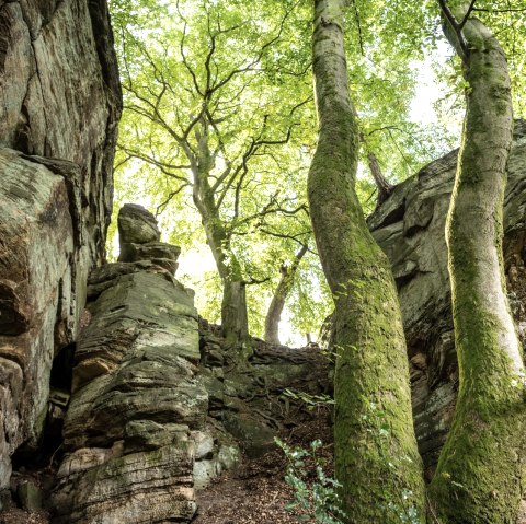 Rocks at the Mandrack Passage in the NaturWanderPark delux, © Eifel Toursimus GmbH, D. Ketz Rocks at the Mandrack Passage in the NaturWanderPark delux, © Eifel Toursimus GmbH, D. Ketz