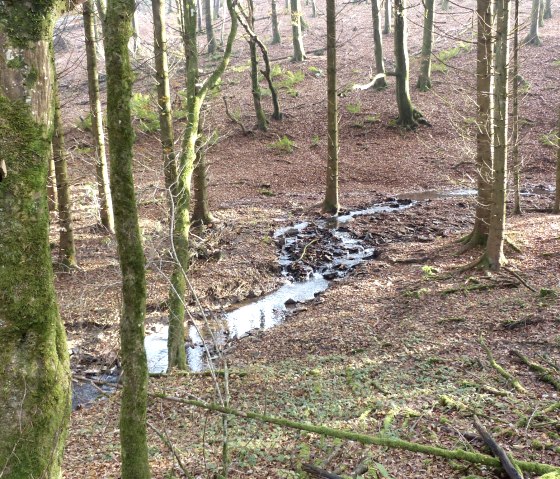 Millstream, © Tourist-Information Islek Millstream, © Tourist-Information Islek