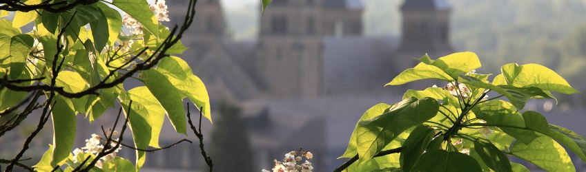 Felsenweg 4 im NaturWanderPark delux, © NP Südeifel ZV / Charly Schleder Felsenweg 4 im NaturWanderPark delux, © NP Südeifel ZV / Charly Schleder