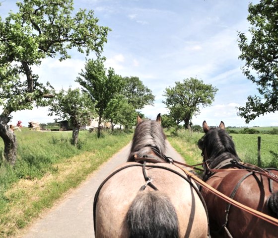 InWiersdorf InWiersdorf