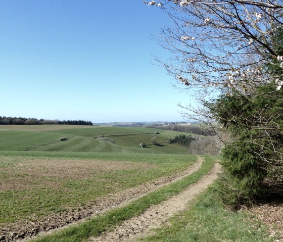 Hiking trail no. 18, © Tourist-Information Islek Hiking trail no. 18, © Tourist-Information Islek