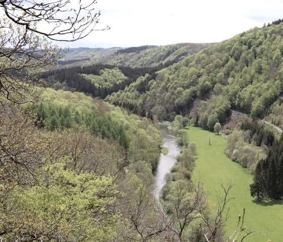 Blick von der Königsley, © ZV Naturpark Südeifel, Raymond Clement Blick von der Königsley, © ZV Naturpark Südeifel, Raymond Clement