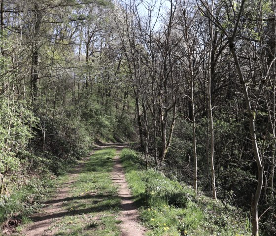 Wanderweg 100, © Tourist-Info Islek Wanderweg 100, © Tourist-Info Islek