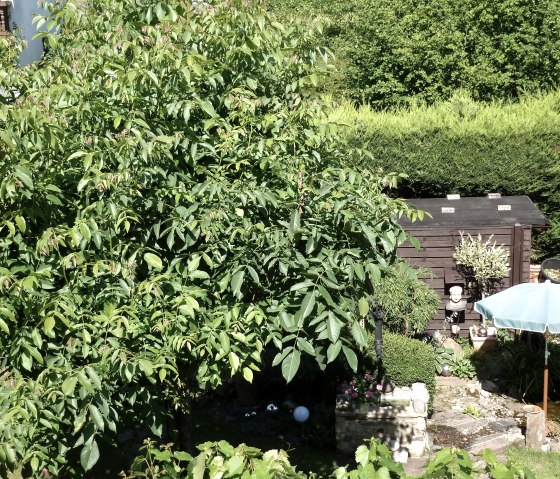 Aussicht Balkon Foto 2, © Deutsch-Luxemburgische Tourist-Info Aussicht Balkon Foto 2, © Deutsch-Luxemburgische Tourist-Info