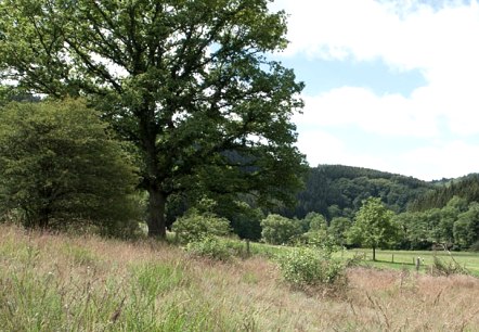Eifeltal, © V. Teuschler Eifeltal, © V. Teuschler