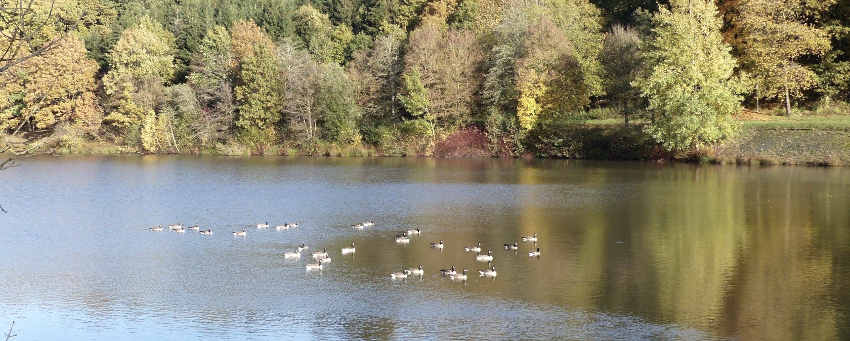 Enten auf dem Stausee, © Tourist-Information Islek, Ingrid Wirtzfeld Enten auf dem Stausee, © Tourist-Information Islek, Ingrid Wirtzfeld