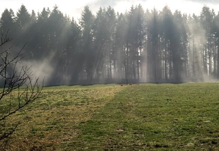 Morgennebel bei Reiff Morgennebel bei Reiff