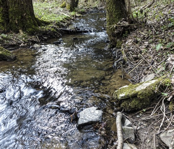 Mandelbach, © Fritz Knob Mandelbach, © Fritz Knob