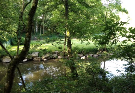 Fluss Prüm, © Naturpark Südeifel/Indra Schaperdoth Fluss Prüm, © Naturpark Südeifel/Indra Schaperdoth