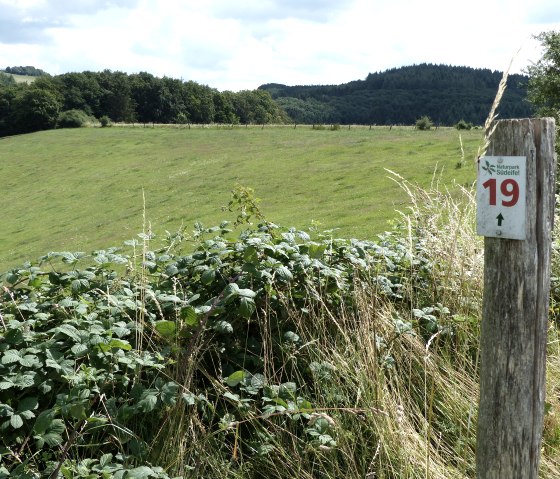 npse_ww_19 npse_ww_19