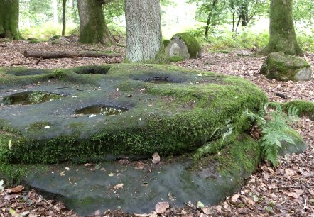 Kiesgräber - Grabgruben im gewachsenen Fels, © Felsenland Südeifel Tourismus GmbH Kiesgräber - Grabgruben im gewachsenen Fels, © Felsenland Südeifel Tourismus GmbH