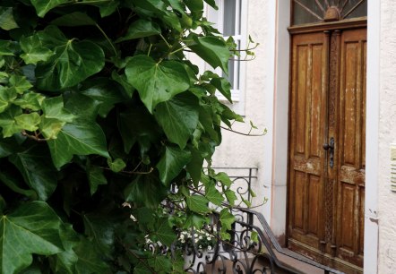 1-Ihre-Ferienwohnung-in-Neuerburg, © www.eifel-fewo.com 1-Ihre-Ferienwohnung-in-Neuerburg, © www.eifel-fewo.com