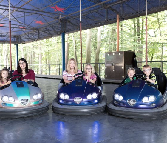 08eifelpark-tatzes-Boxautos, © Eifelpark Gondorf 08eifelpark-tatzes-Boxautos, © Eifelpark Gondorf