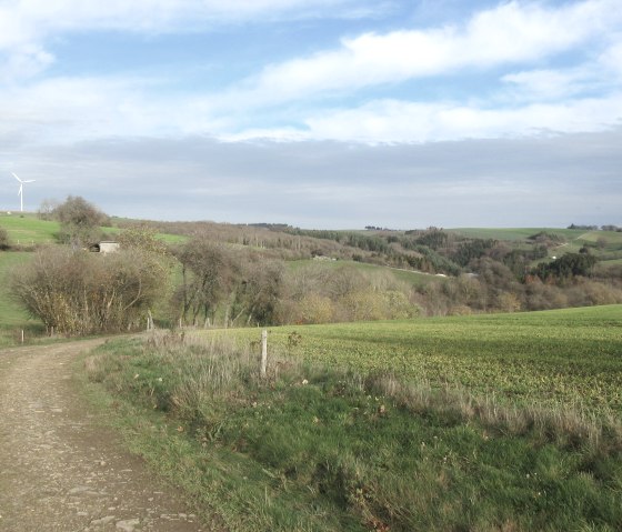 A country lane leads through green meadows, with a wind turbine and rolling hills under a blue sky in the background., © Felsenland Südeifel Tourismus GmbH, Natalie Mainz A country lane leads through green meadows, with a wind turbine and rolling hills under a blue sky in the background., © Felsenland Südeifel Tourismus GmbH, Natalie Mainz