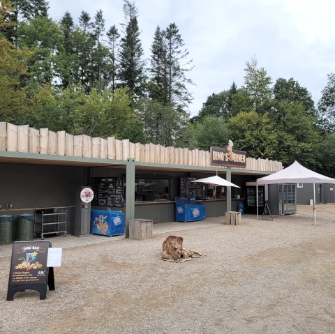 SB-Bereich von Dino's Diner, © Felsenland Südeifel Tourismus GmbH SB-Bereich von Dino's Diner, © Felsenland Südeifel Tourismus GmbH