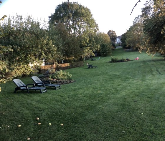 Alter Baumbestand und liebevoll angelegte Beete Alter Baumbestand und liebevoll angelegte Beete