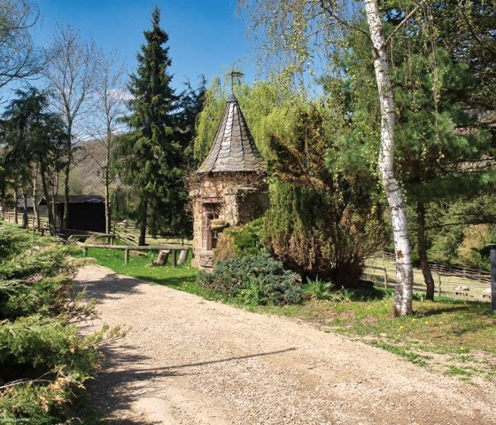 Zoo02, © Eifel-Zoo, Wallpott Zoo02, © Eifel-Zoo, Wallpott