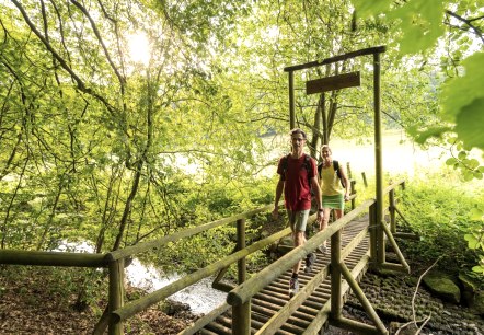 Bach-Pfad im NaturWanderPark delux, Ernst-Brücke über den Alfbach, © Eifel Tourismus GmbH, D. Ketz Bach-Pfad im NaturWanderPark delux, Ernst-Brücke über den Alfbach, © Eifel Tourismus GmbH, D. Ketz