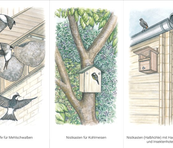Gartenkultur-Eifel Nisthilfen, © Naturpark Südeifel/Sabine Dubb Gartenkultur-Eifel Nisthilfen, © Naturpark Südeifel/Sabine Dubb