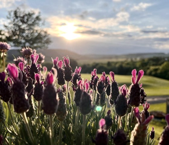 Golf Resort Bitburger Land, © Roman Graf - Golf Resort Bitburger Land Golf Resort Bitburger Land, © Roman Graf - Golf Resort Bitburger Land