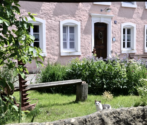 Rosa Bauernhaus mit weißen Fenstern, umgeben von blühendem Garten. Eine Katze sitzt im Vordergrund auf dem Rasen., © TI Bitburger Land Rosa Bauernhaus mit weißen Fenstern, umgeben von blühendem Garten. Eine Katze sitzt im Vordergrund auf dem Rasen., © TI Bitburger Land
