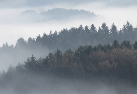 Blick übers Irsental Blick übers Irsental