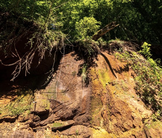 Red sandstone wall Roter Puhl, © Eifel Tourismus GmbH, D. Ketz Red sandstone wall Roter Puhl, © Eifel Tourismus GmbH, D. Ketz