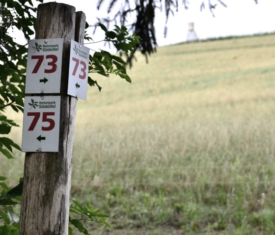 Wegweiser im Naturpark Südeifel zeigt die Nummern 73 und 75. Im Hintergrund ist ein Feld und ein Hochsitz zu sehen., © TI Bitburger Land Wegweiser im Naturpark Südeifel zeigt die Nummern 73 und 75. Im Hintergrund ist ein Feld und ein Hochsitz zu sehen., © TI Bitburger Land