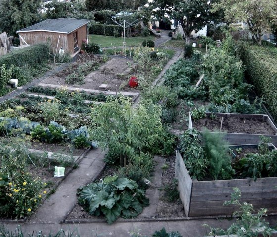 Biogarten_2, © Marianne Brandt Biogarten_2, © Marianne Brandt